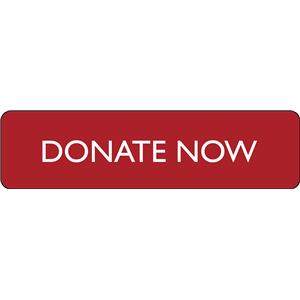 Donate PNG-33012